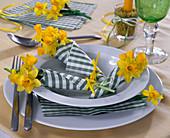 Daffodil table decoration