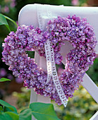 Light violet syringa (lilac) heart on white wooden chair