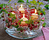 Fragaria around cup with candle glasses floating in water