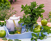 Bouquet and tea from Mentha x rotundifolia, in jar, jug