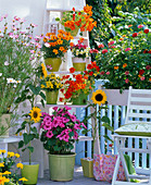 Colorful sowing balcony