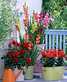 Gladiolus and Dahlia in buckets