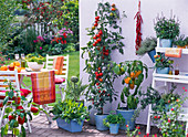 Terrasse mit Kräutern und Gemüse