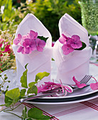 Hydrangea, flowers stuck in folded napkins
