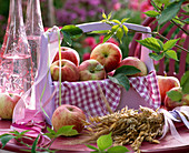 Malus (Äpfel) in Korb mit Handtuch, gebündeltes Getreide, Bänder, Flaschen