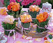 Rose in small vases, encased in rosemary, salvia