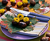Hollowed chestnuts as a mini vase