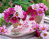 Small bouquets of Cosmos in silver cups on tray