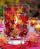 Lanterns with autumn fan maple leaves