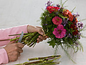 Tying a bouquet of zinnias
