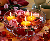 Rosa (Rosen und Hagebutten), Malus (Äpfel, Zieräpfel) und Schwimmkerzen