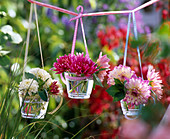 Various Dahlia in small glasses hanging on string
