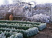 Farmhouse garden in winter