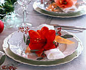 Amaryllis table decoration