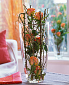 Rosa (Rosen), Blüten und Zweige in hoher schmaler Vase aus Glas