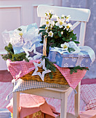 Helleborus in basket with gifts, stars and Abies branches