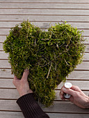 Moss heart on cardboard