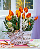 Tulipa, Hyacinthus in white basket with branches