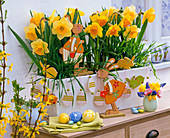 White wooden box with Narcissus 'Sunshine', 'Suada' (Daffodil)