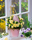 Primula (Frühlingsprimel, gefüllt, Duft nach Veilchen) als Osternest
