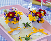 Small bouquets of viola, bellis, muscari