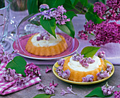 Gezuckerte Blüten von Syringa (Flieder) auf kleinen Torten, Glashaube