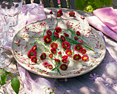Blüten von Bellis (Tausendschön) und Gräser auf Teller