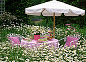 Sitzgruppe mit rosa Kissen und Tischdecke in Margeritenwiese