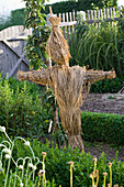 Scarecrow made of straw in the cottage garden, Buxus (Box)
