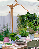 Herb table decoration with parasol