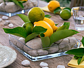 Zitronen - Tischdekoration