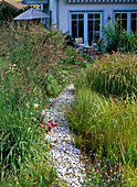 Narrow gravel path separates the marsh plant bed