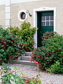 House entrance with fuchsia in tubs