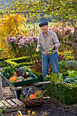 Grandfather harvesting vegetables in the farm garden