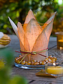 Glass with leaves and grains of Zea (corncob) as a lantern