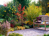 Autumn flower bed on terrace