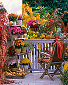 Vorher - Nachher Balkon mit Chrysanthemum (Herbstchrysanthemen)