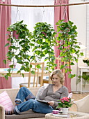 Hanging baskets with Efutute as a room divider