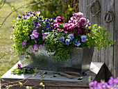 Blechkasten mit Kräutern und Pflanzen mit essbaren Blüten