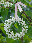 Small wreath of Convallaria hanged on lilac branch