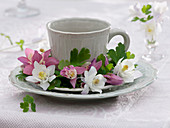 Cup with a small wreath from Aquilegia (columbine)