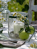 Apple table decoration in summer meadow