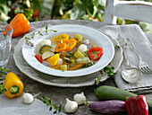 Minestrone (Gemüsesuppe) mit Capsicum (Paprika), Cucurbita (Zucchini)