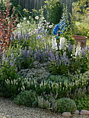 Blue-white late summer flower bed
