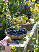 Freshly harvested plums and pears in baskets on bench