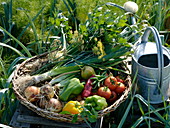 Freshly picked vegetables in a flat wicker basket