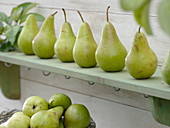 Pears 'Concord' lined up on wooden shelf