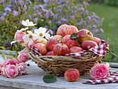 Basket of clematis tendrils with apples, and decorated with flowers