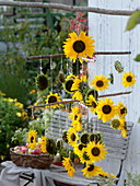 Homemade mobile made of sunflowers