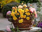 Homemade wicker basket with arrangement of roses and oregano